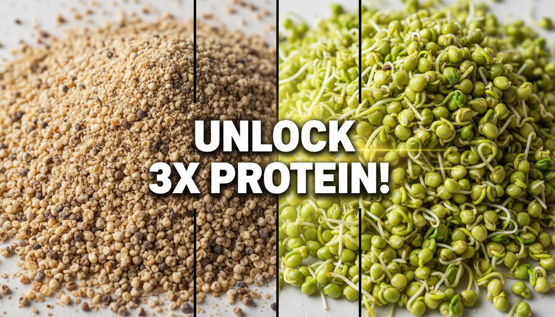 millet protein